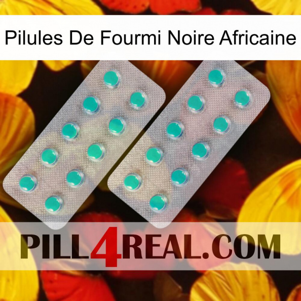 African Black Ant Pills 29